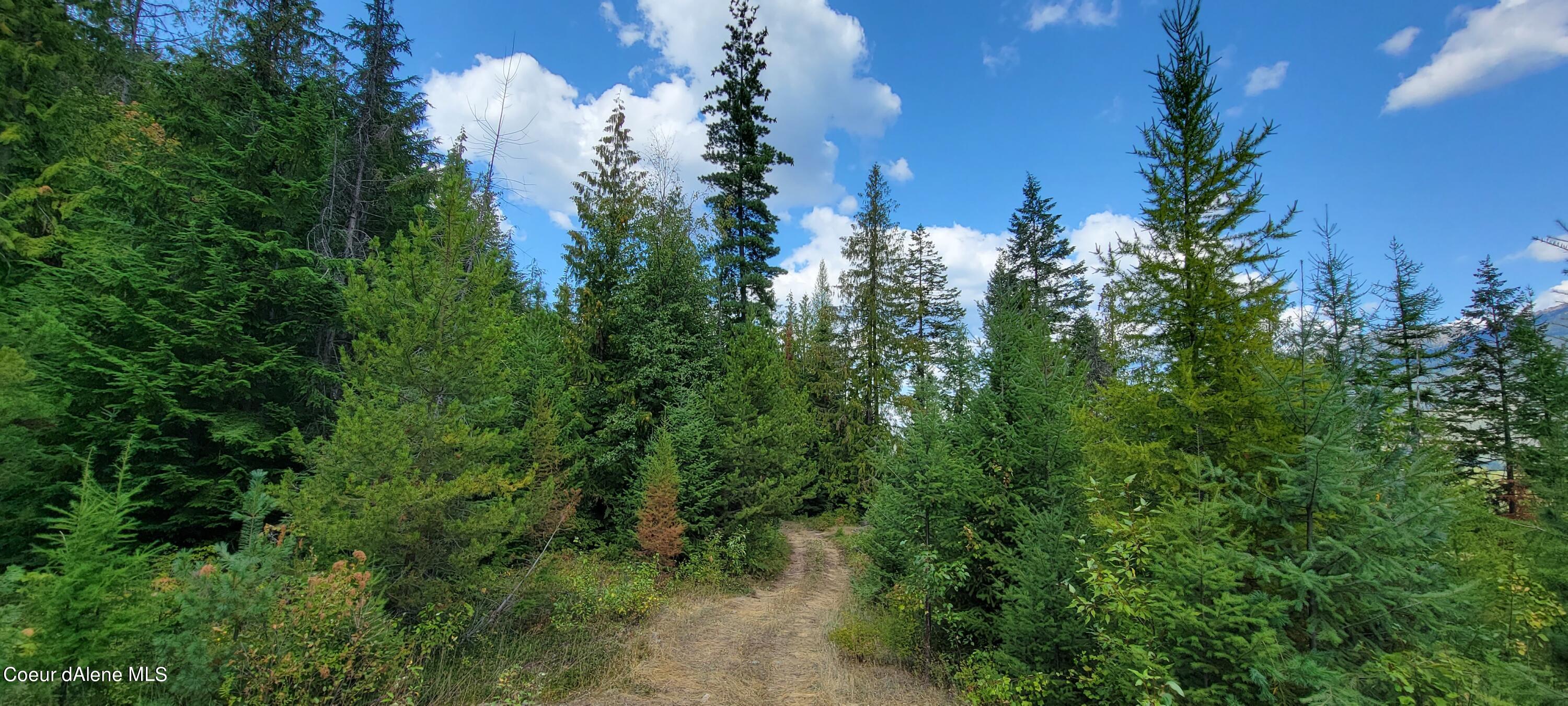 NNA Enchanted Lane, Moyie Springs, Idaho image 5