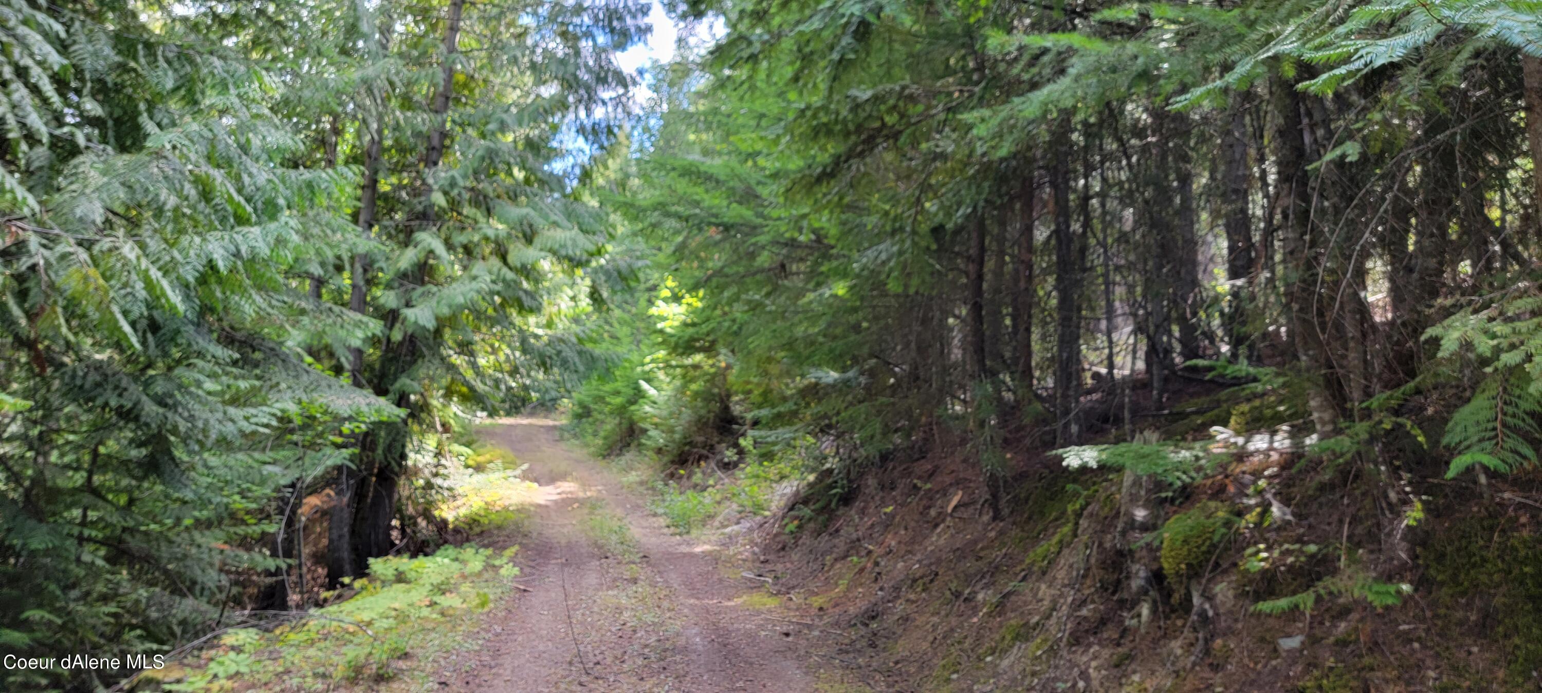 NNA Enchanted Lane, Moyie Springs, Idaho image 17