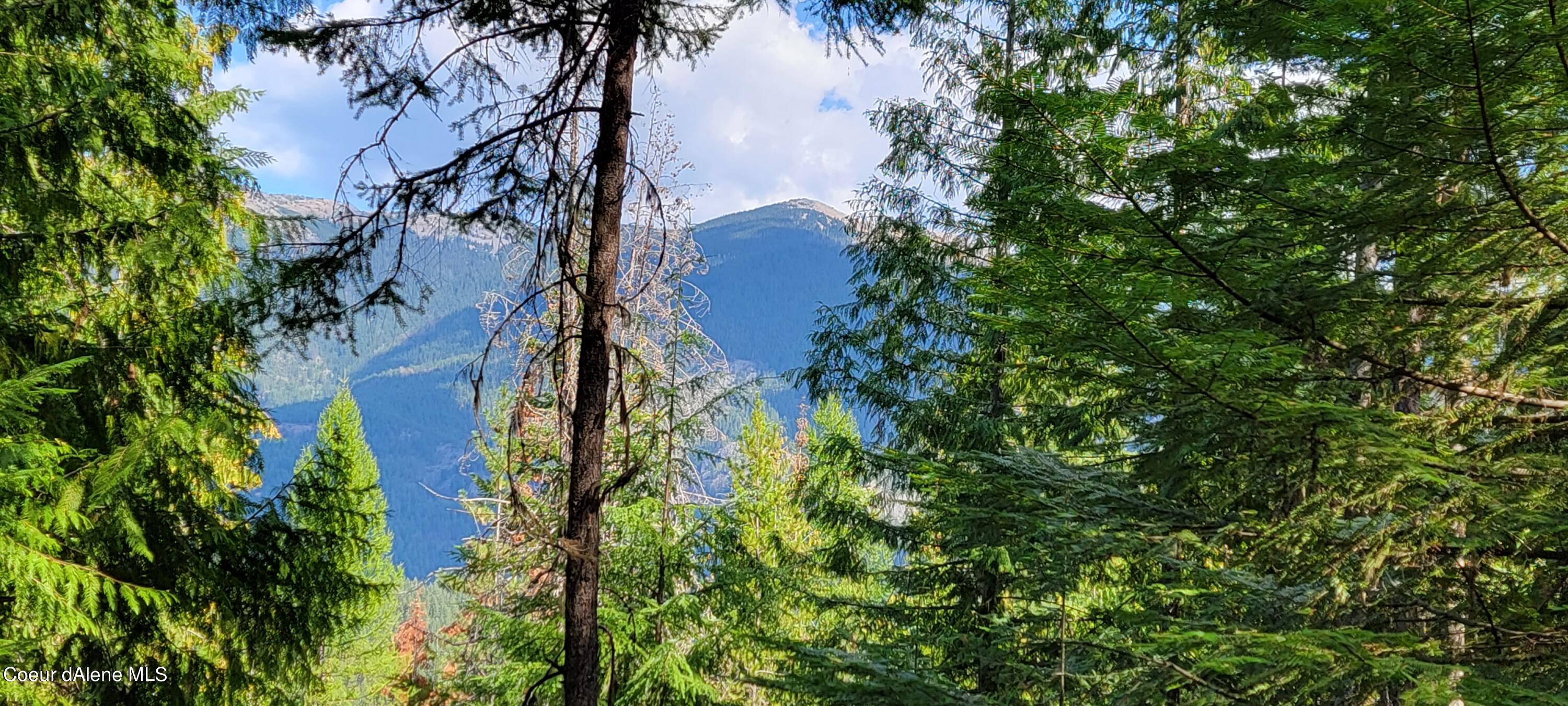 NNA Enchanted Lane, Moyie Springs, Idaho image 9