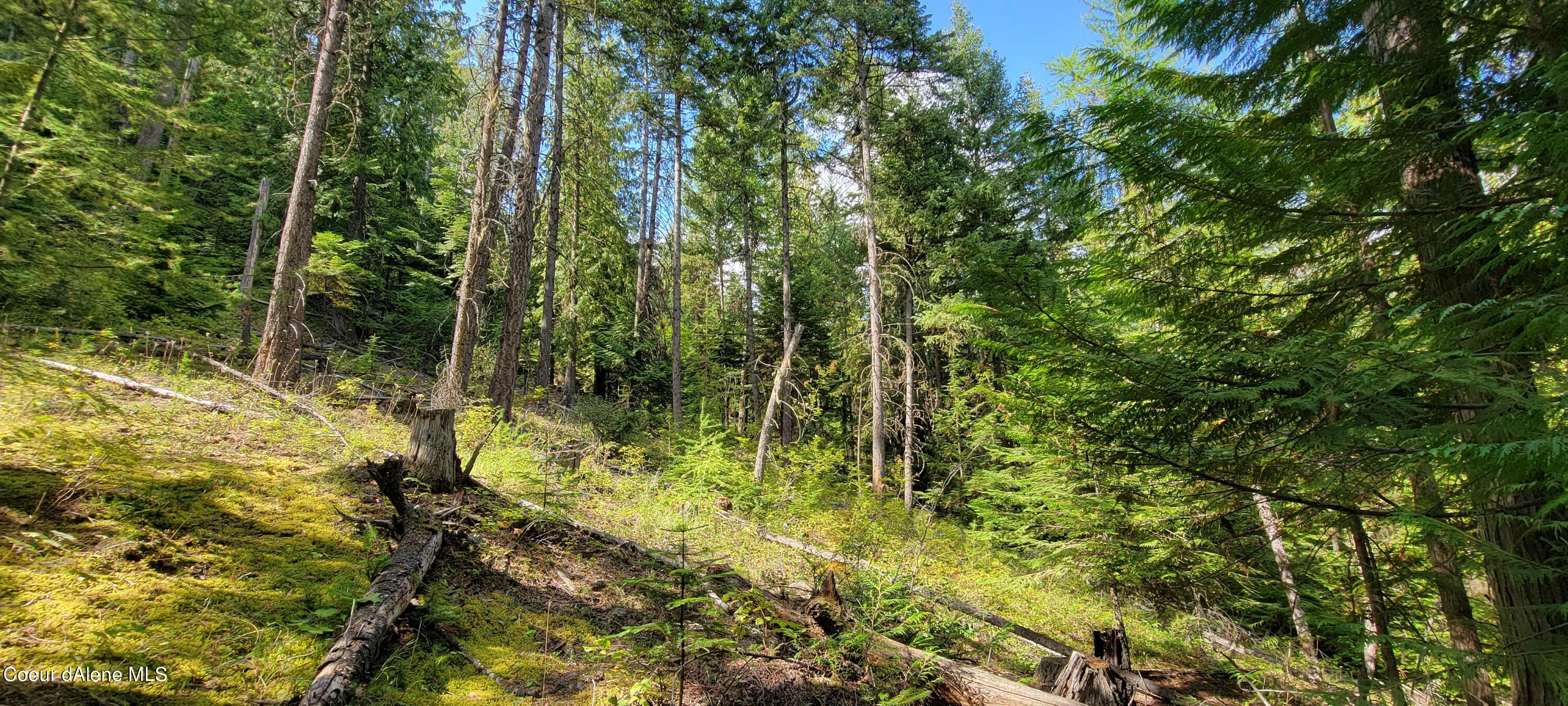 NNA Enchanted Lane, Moyie Springs, Idaho image 10