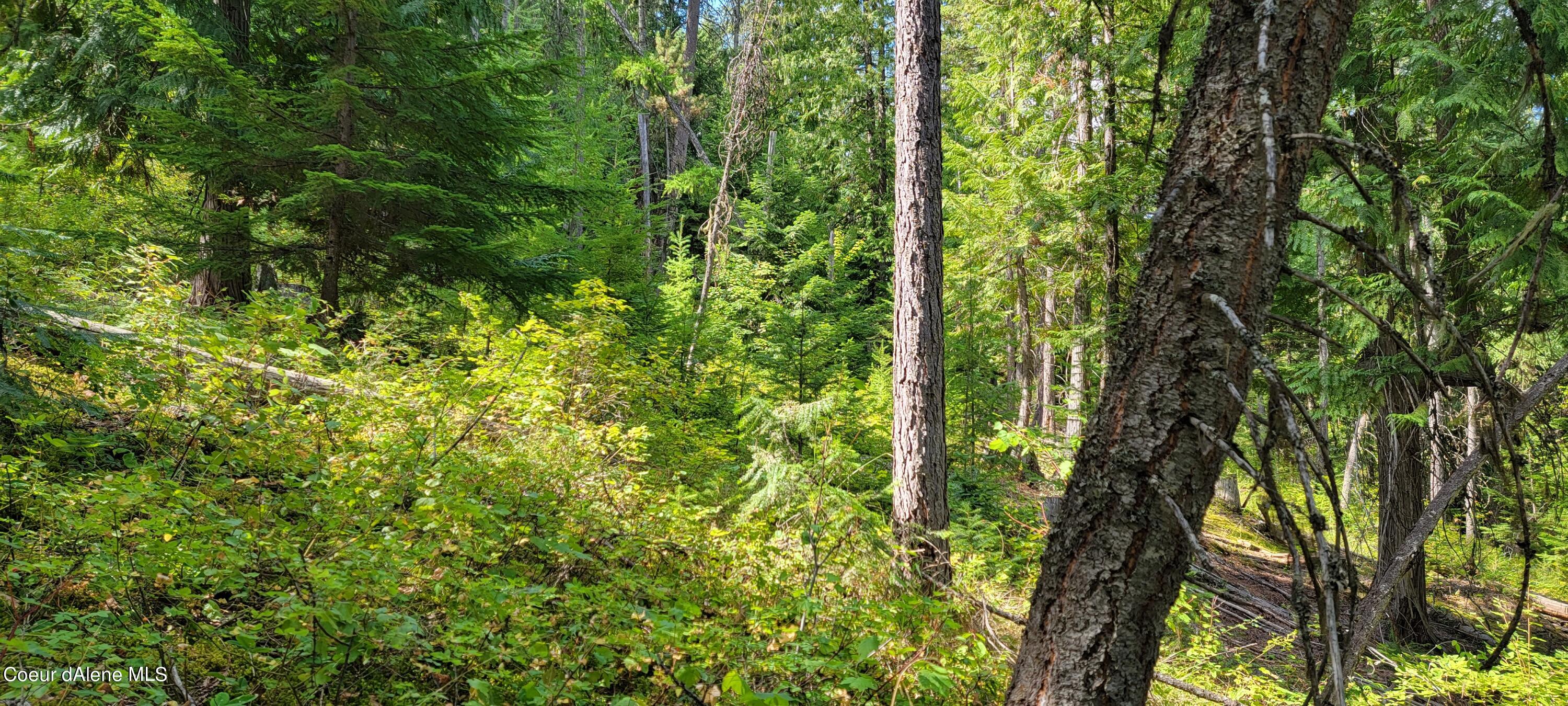 NNA Enchanted Lane, Moyie Springs, Idaho image 12