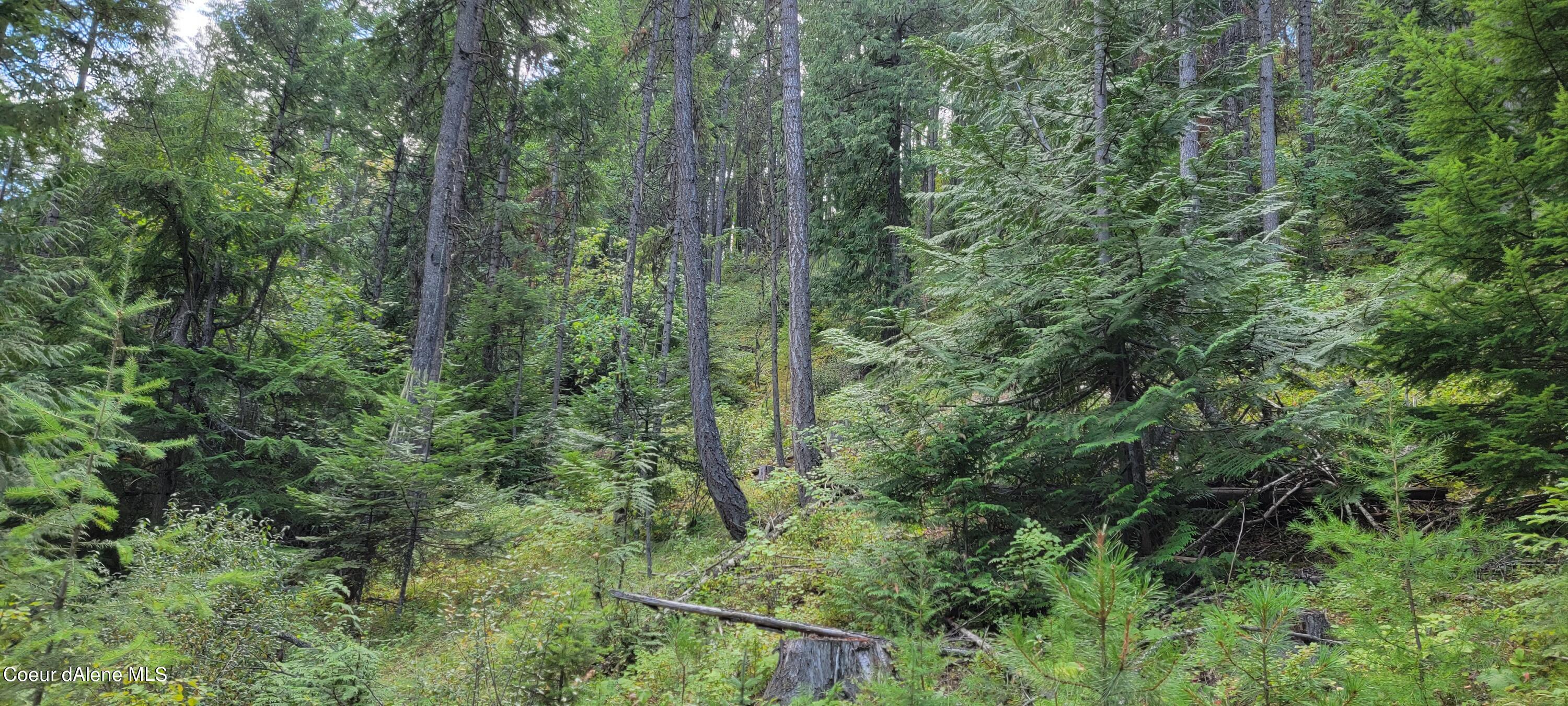 NNA Enchanted Lane, Moyie Springs, Idaho image 15