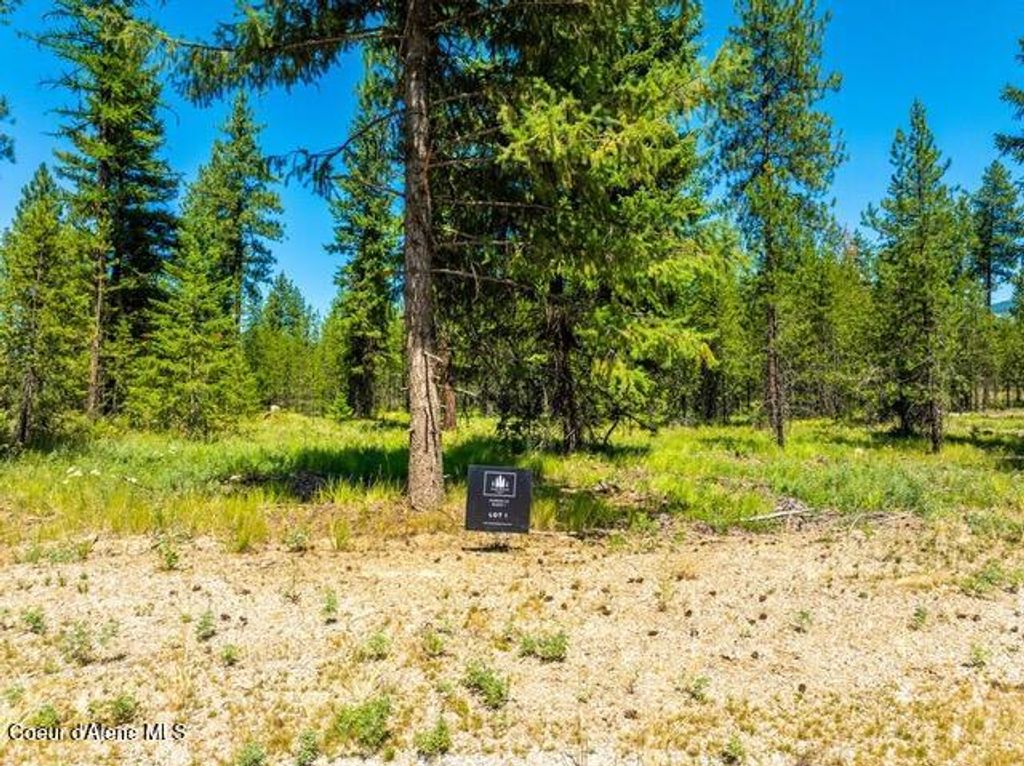 Photo of 55 CANNON Ln, Blanchard, ID 83804 (MLS # 25-6685)