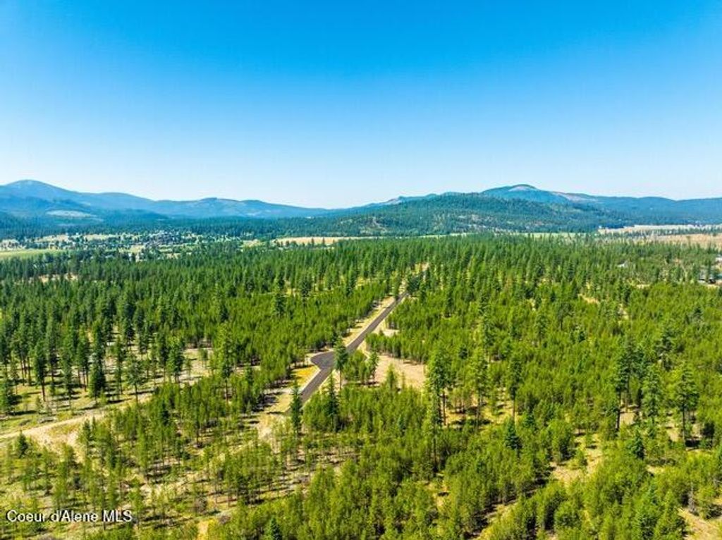 Photo of 55 CANNON Ln, Blanchard, ID 83804 (MLS # 25-6685)