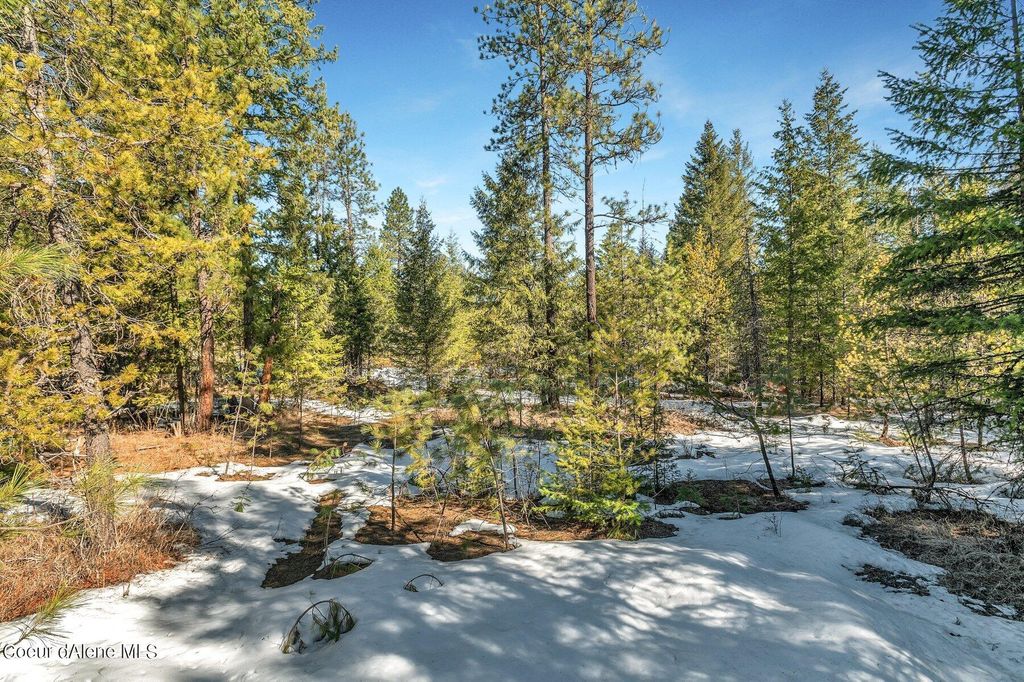 Photo of NKA Lot 1 Everett Huff, Oldtown, ID 83822 (MLS # 26-3870)