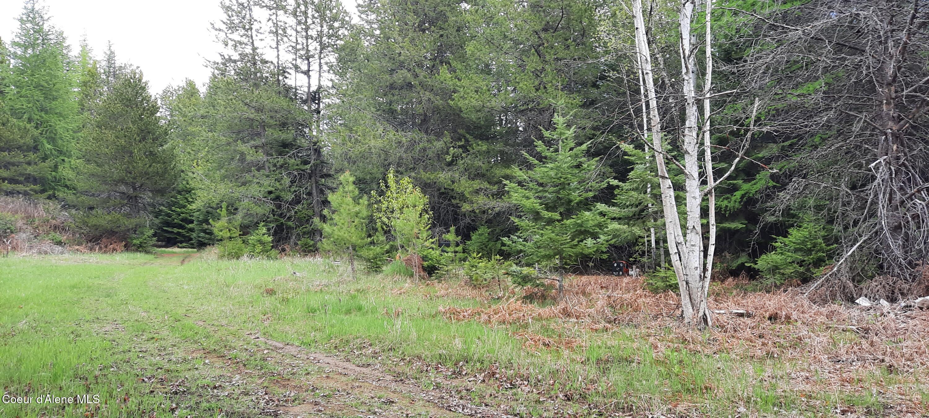 282 Muddy Run Road, Naples, Alaska image 11
