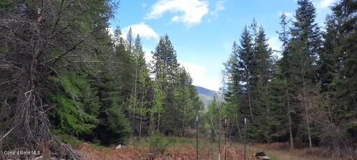 282 Muddy Run Road, Naples, Alaska image 13