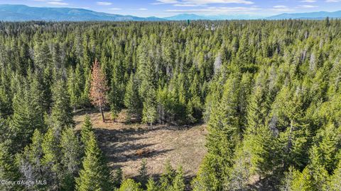 Vacant Land For Sale - LTS 234 Vermont<br/> Spirit Lake, ID 83869