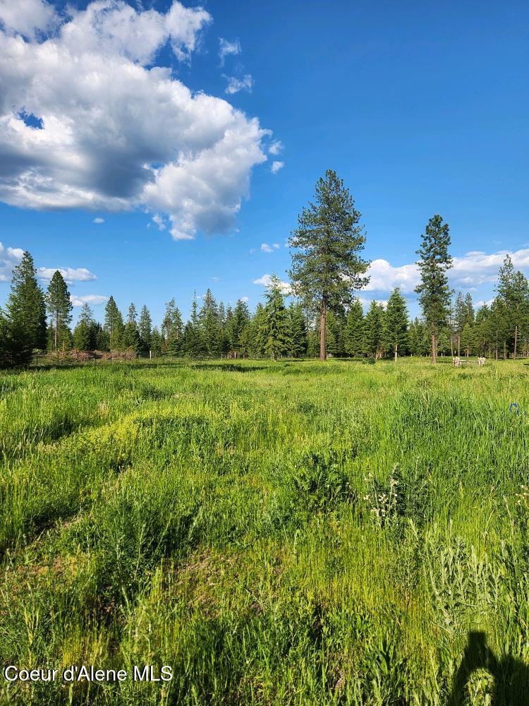 16488 N Atlas Rd, Rathdrum, Idaho image 16