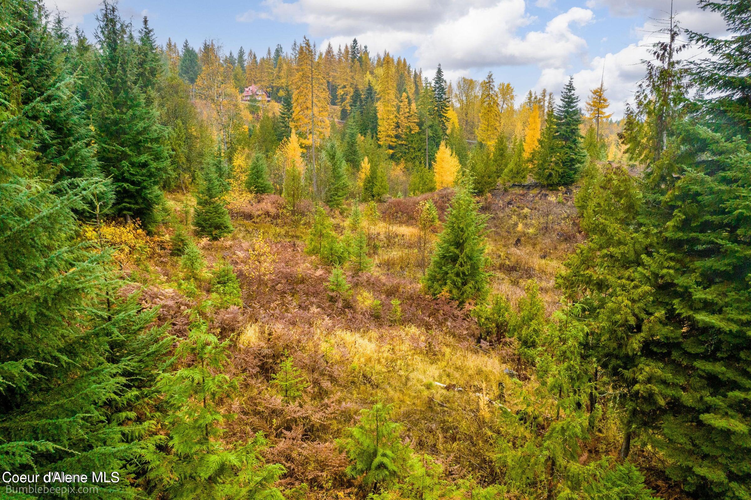 137 Bates Ln, Oldtown, Idaho image 18