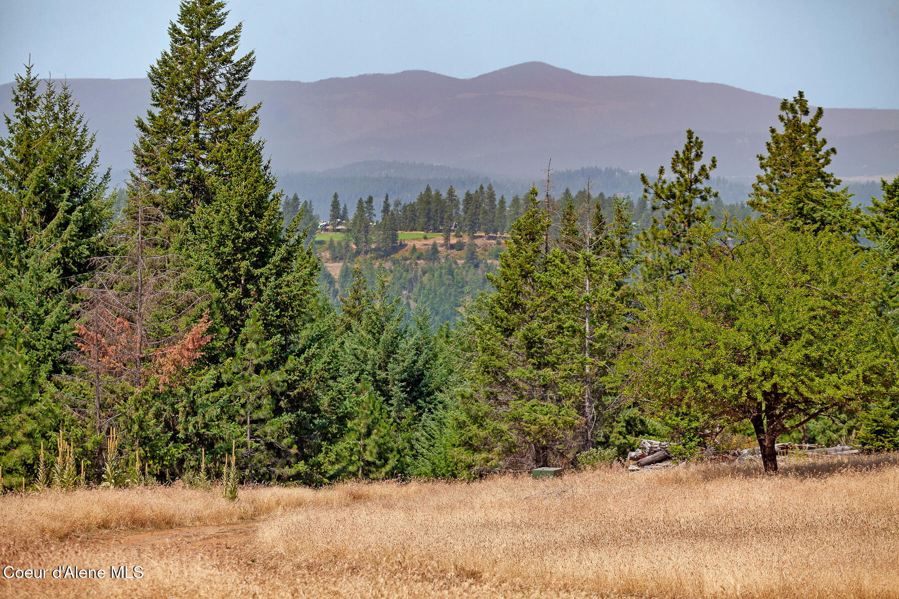 NKA Lisa Rd, Harrison, Idaho image 26