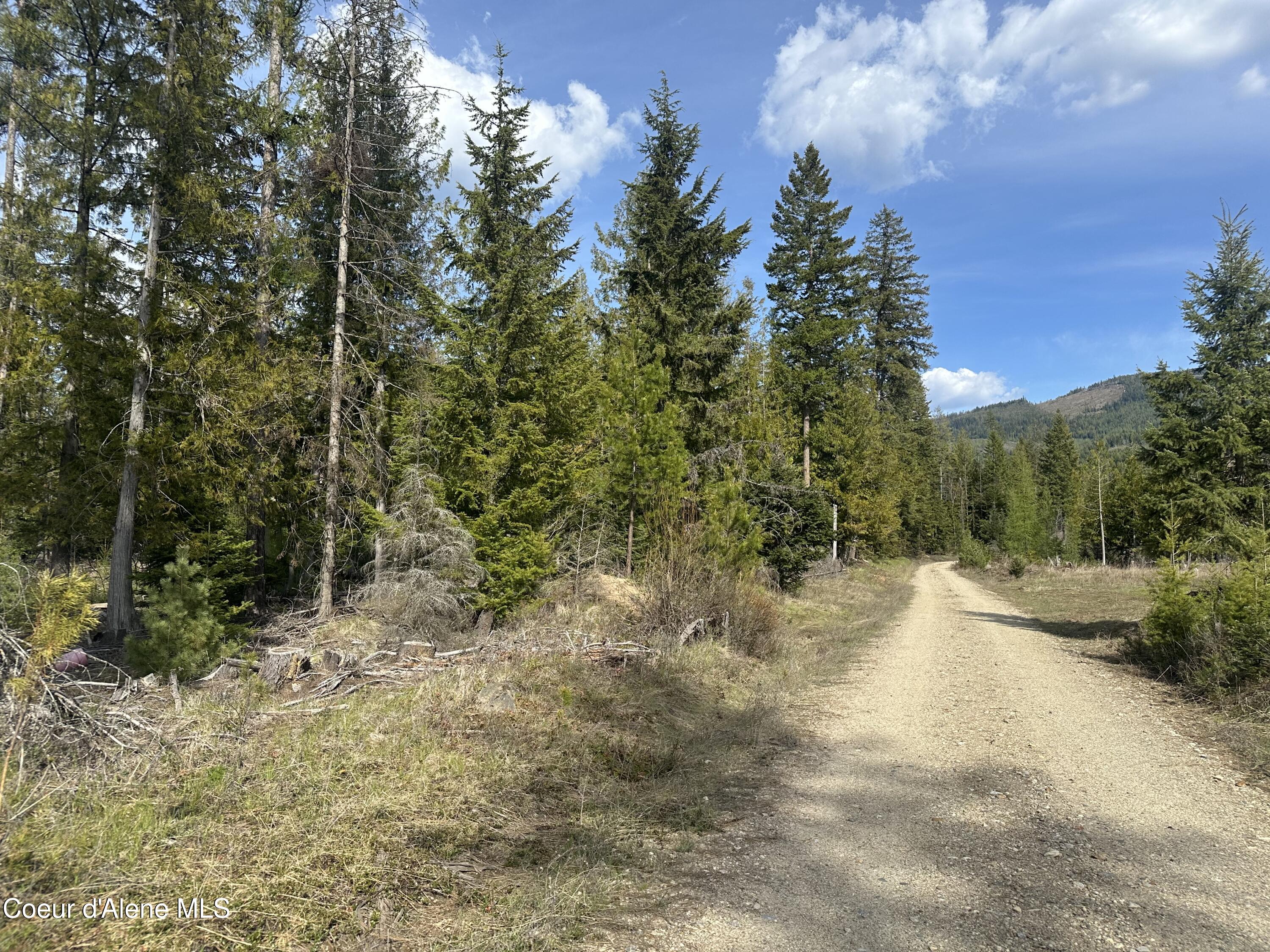NNA Eastside Rd, Priest River, Idaho image 5