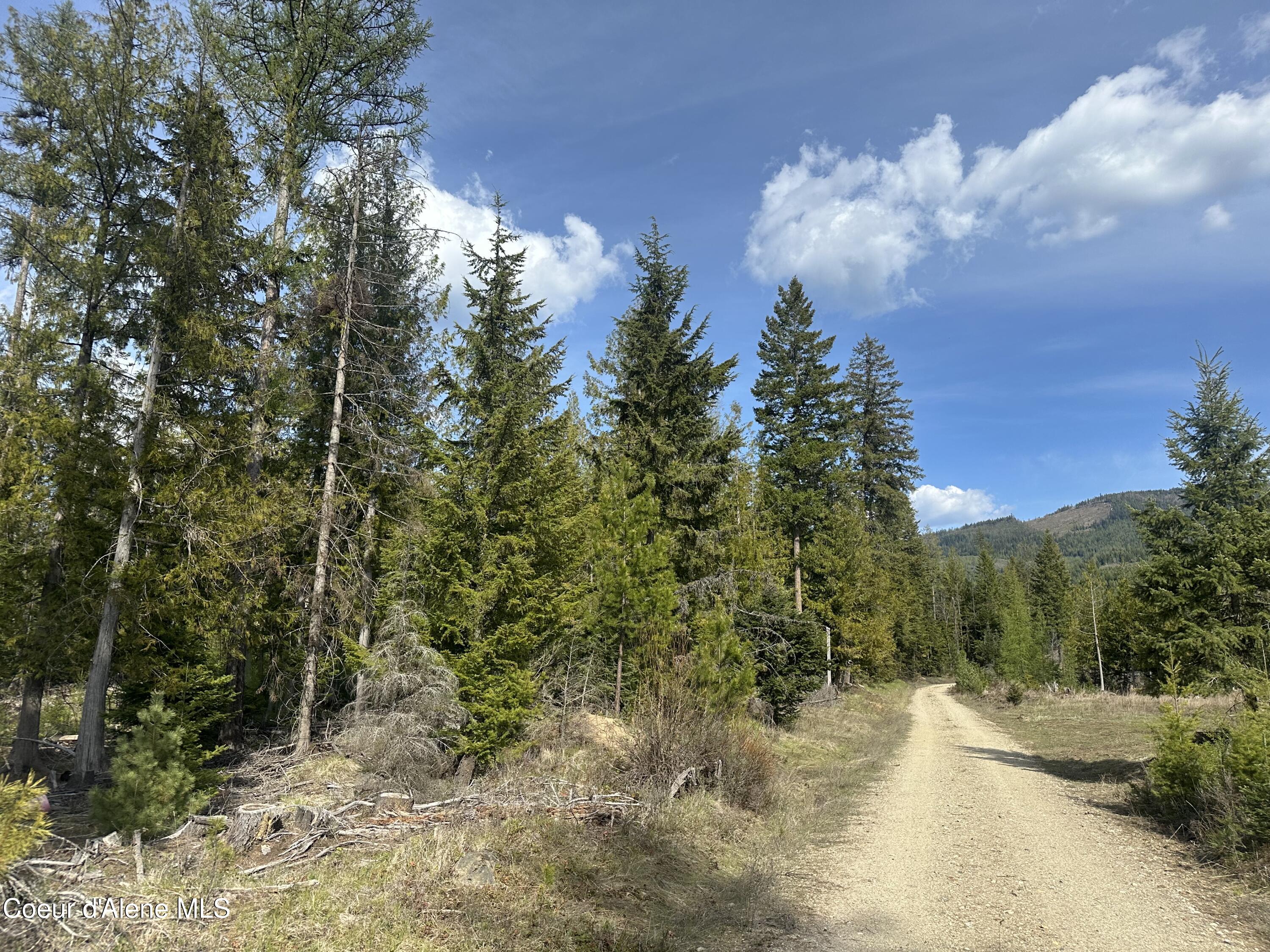 NNA Eastside Rd, Priest River, Idaho image 2