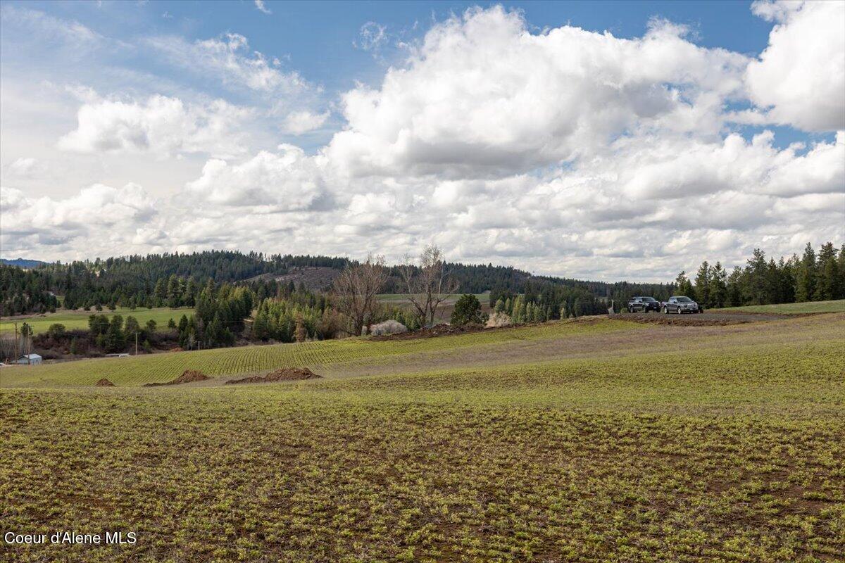 Lot 2 Clifford Rd, Princeton, Alaska image 17