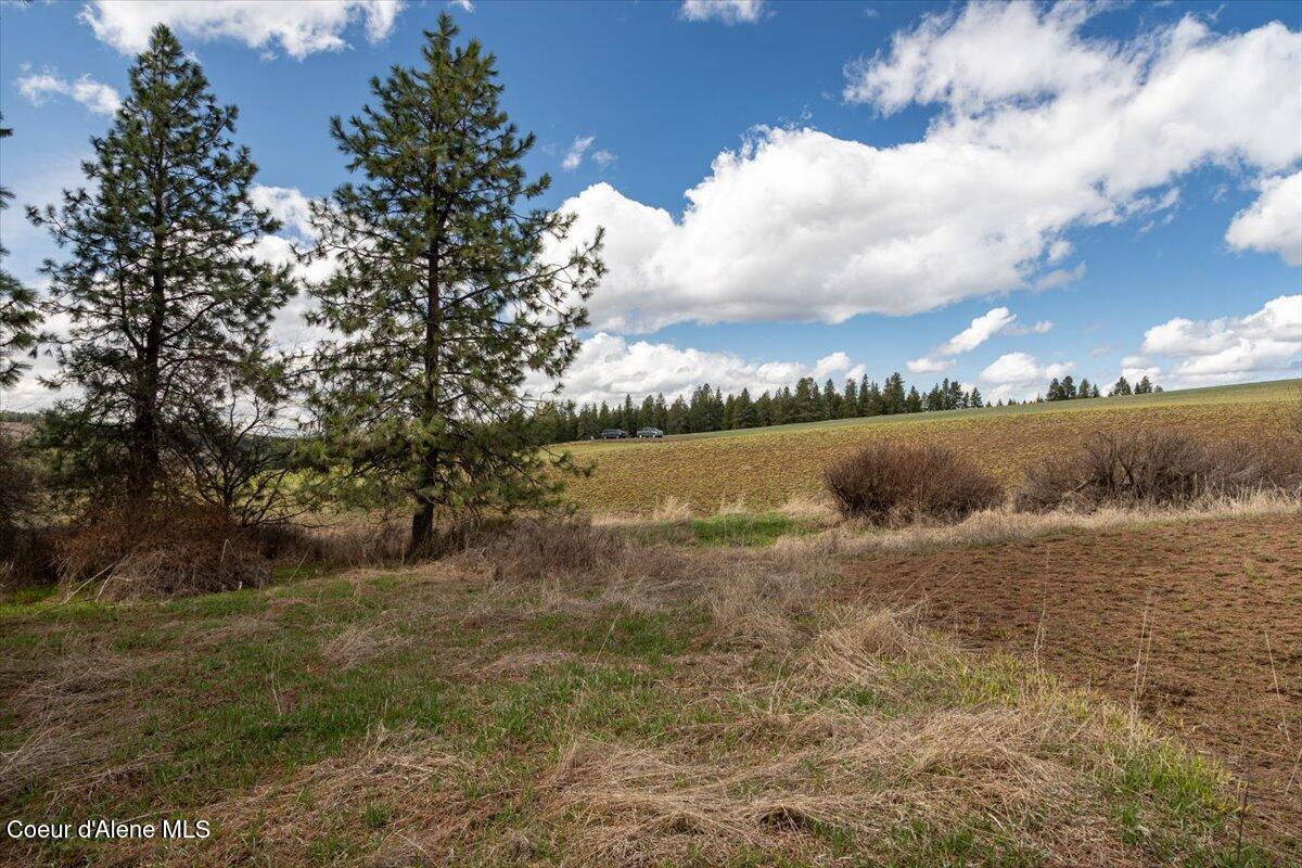 Lot 2 Clifford Rd, Princeton, Alaska image 18