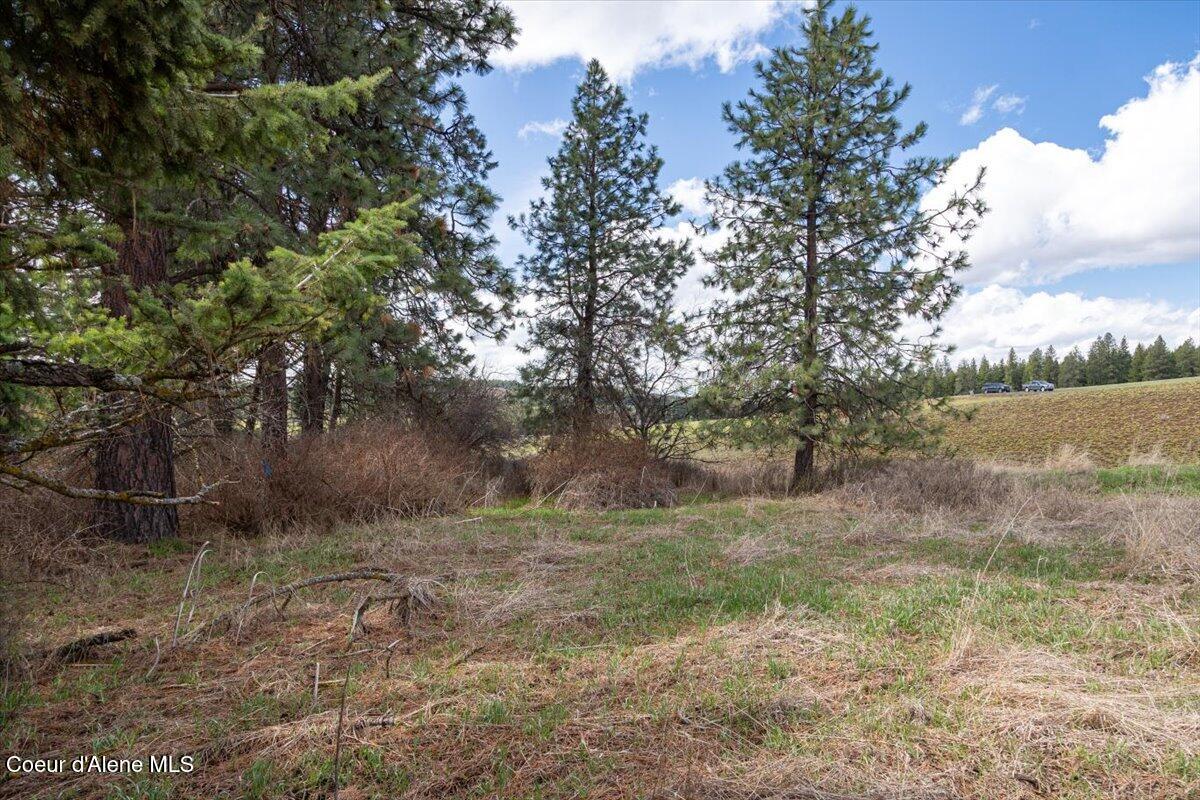 Lot 2 Clifford Rd, Princeton, Alaska image 19