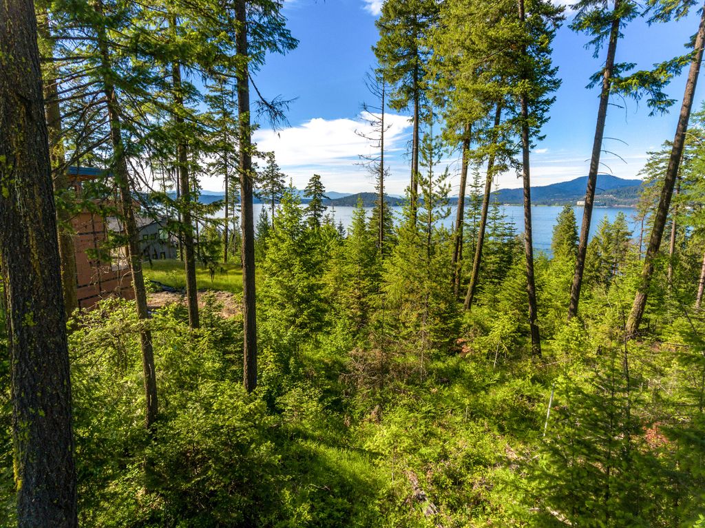Photo of 5103 Jackleg Trl, Harrison, ID 83833 (MLS # 26-4182)