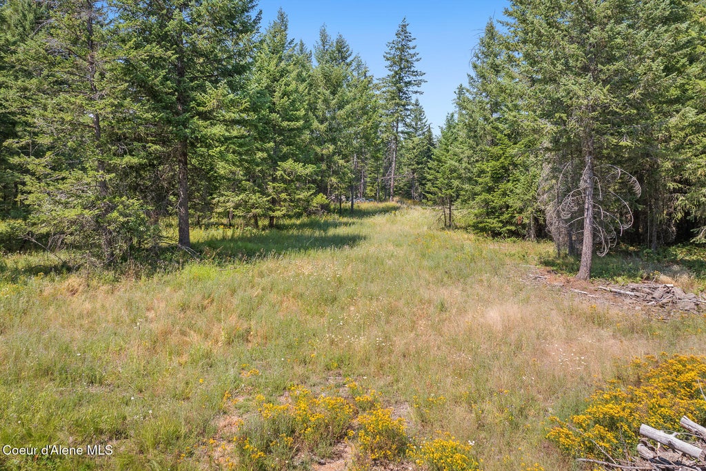 Photo of Quarter Mile, Athol, ID 83801 (MLS # 26-7751)