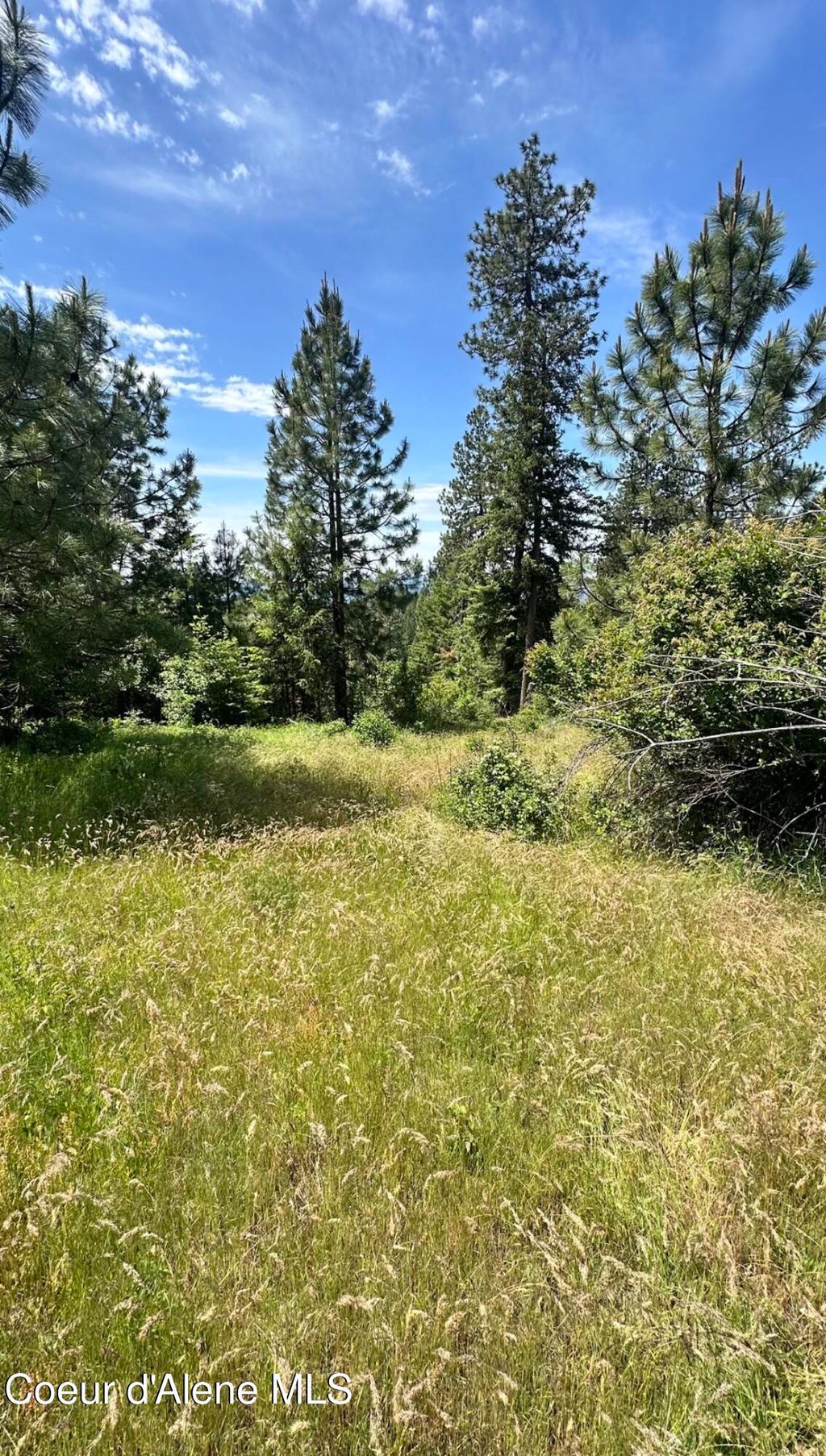 Photo of Mullan Trail Road Road, Coeur dAlene, ID 83814 (MLS # 26-5460)
