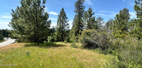 Vacant Land For Sale - Mullan Trail Road Road<br/> Coeur d'Alene, ID 83814
