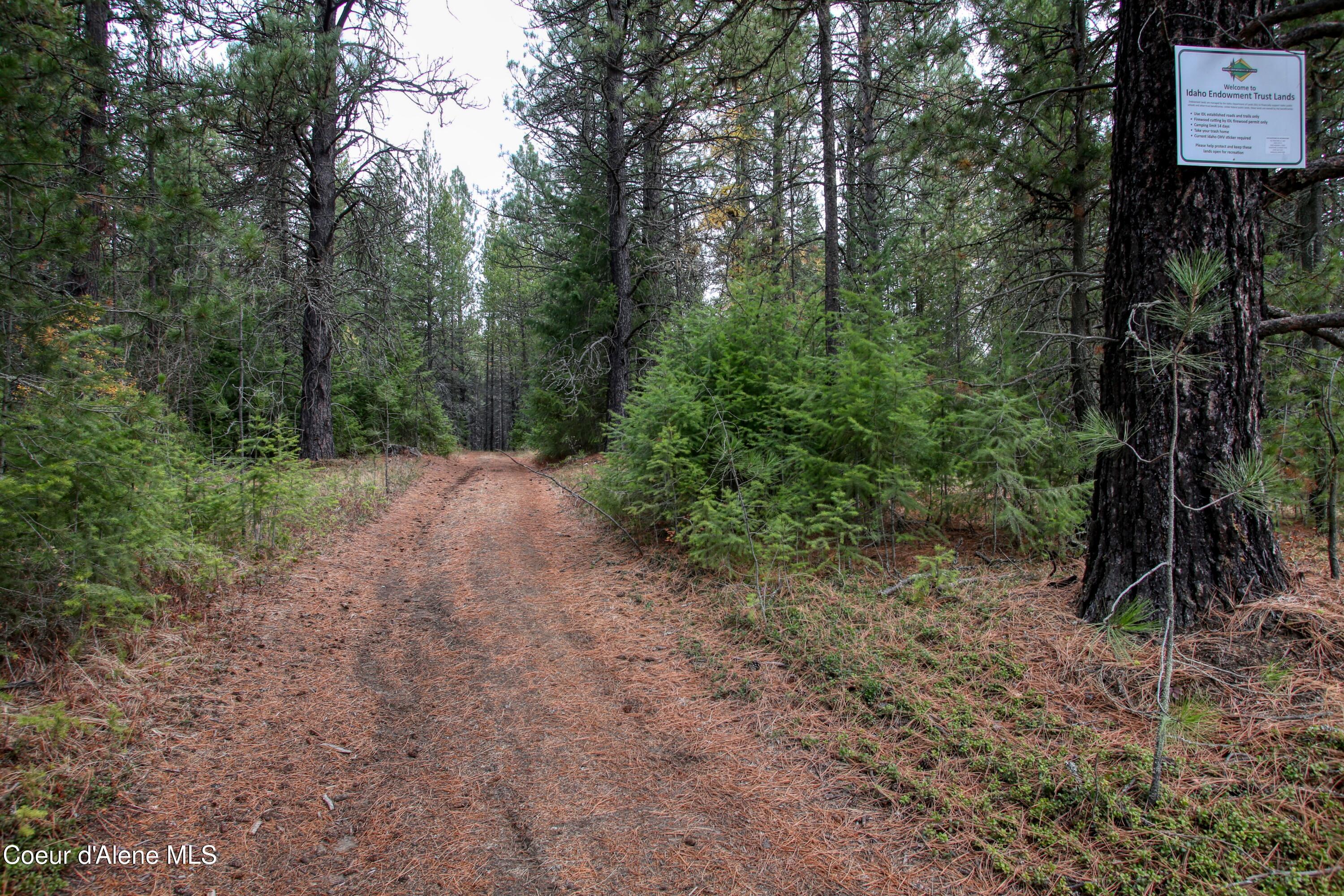 2671 Poirier Rd, Blanchard, Idaho image 11