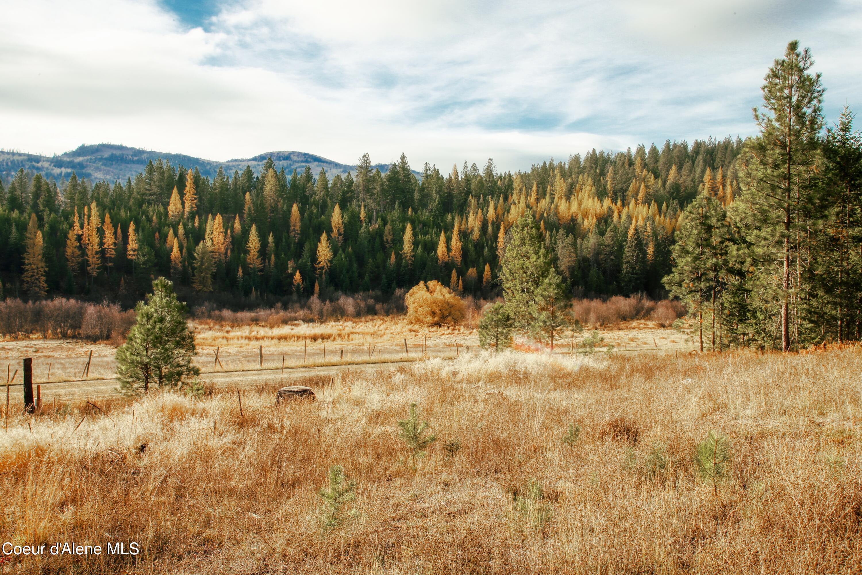 2671 Poirier Rd, Blanchard, Idaho image 4