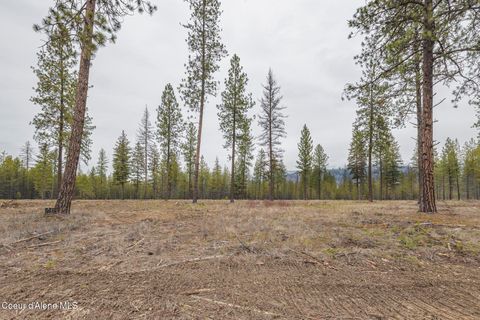 Vacant Land For Sale - L5 B1 Wallace Lane Lane<br/> Blanchard, ID 83804