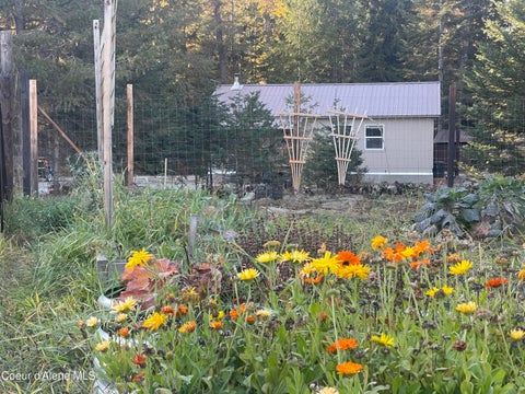 Photo of 31 Tanglewood Dr, Priest River, ID 83856 (MLS # 26-10607)