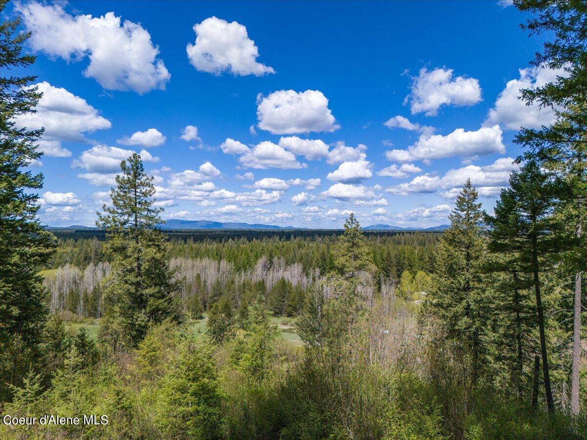 NNA N Corbin Hill, Athol, Idaho image 9