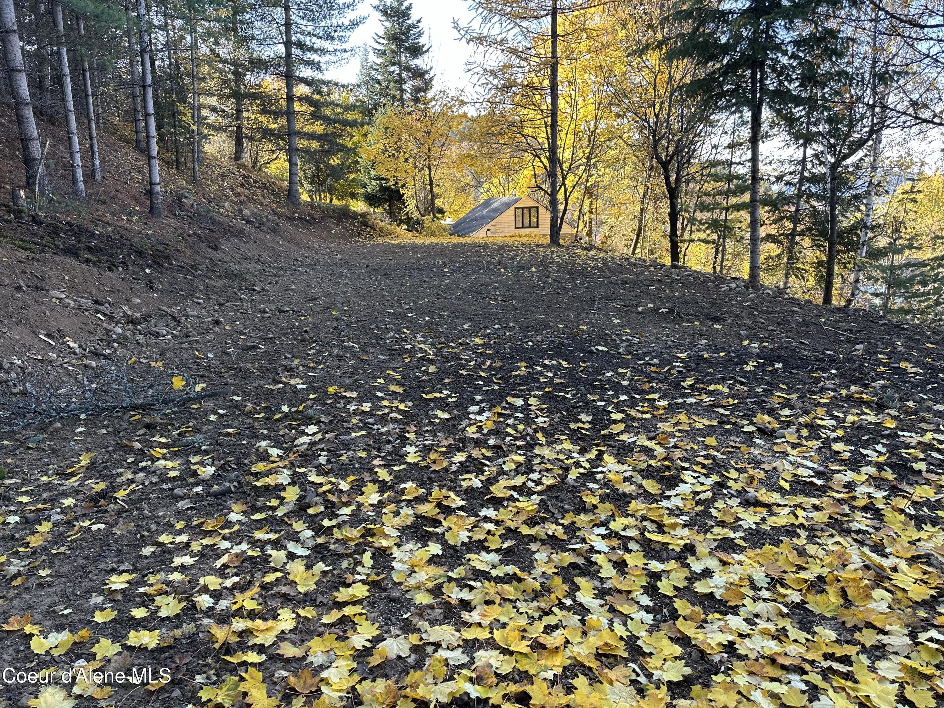 NKA Presley Ave, Kellogg, Idaho image 3