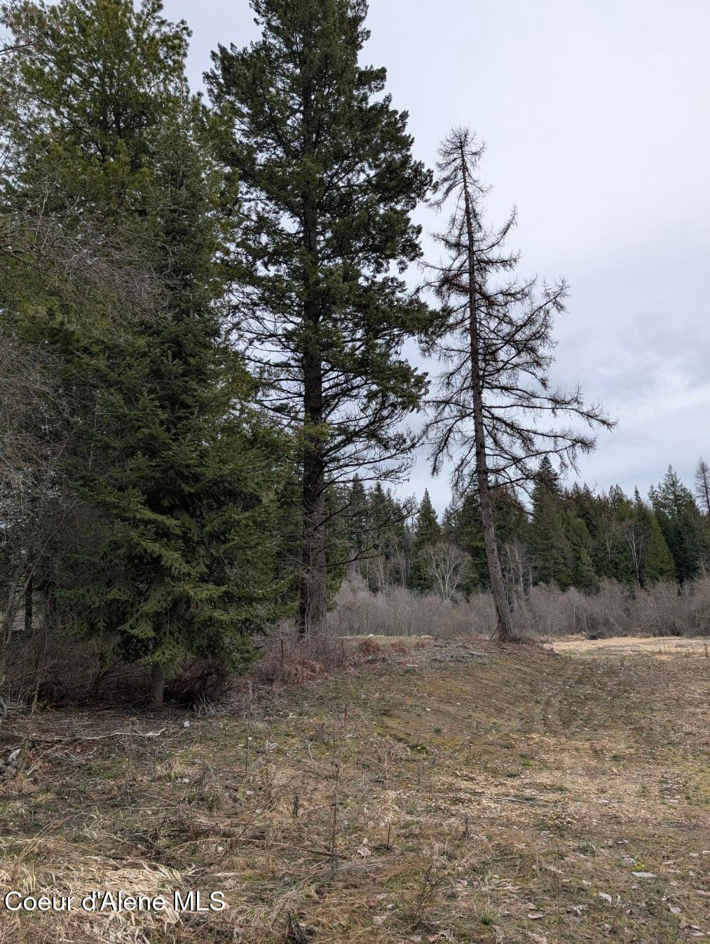 1.31 Ac Fall Creek Road, Naples, Idaho image 20