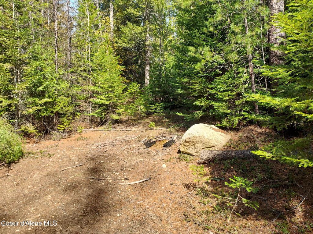 Photo of NKA Whittum, Priest River, ID 83856 (MLS # 26-4271)