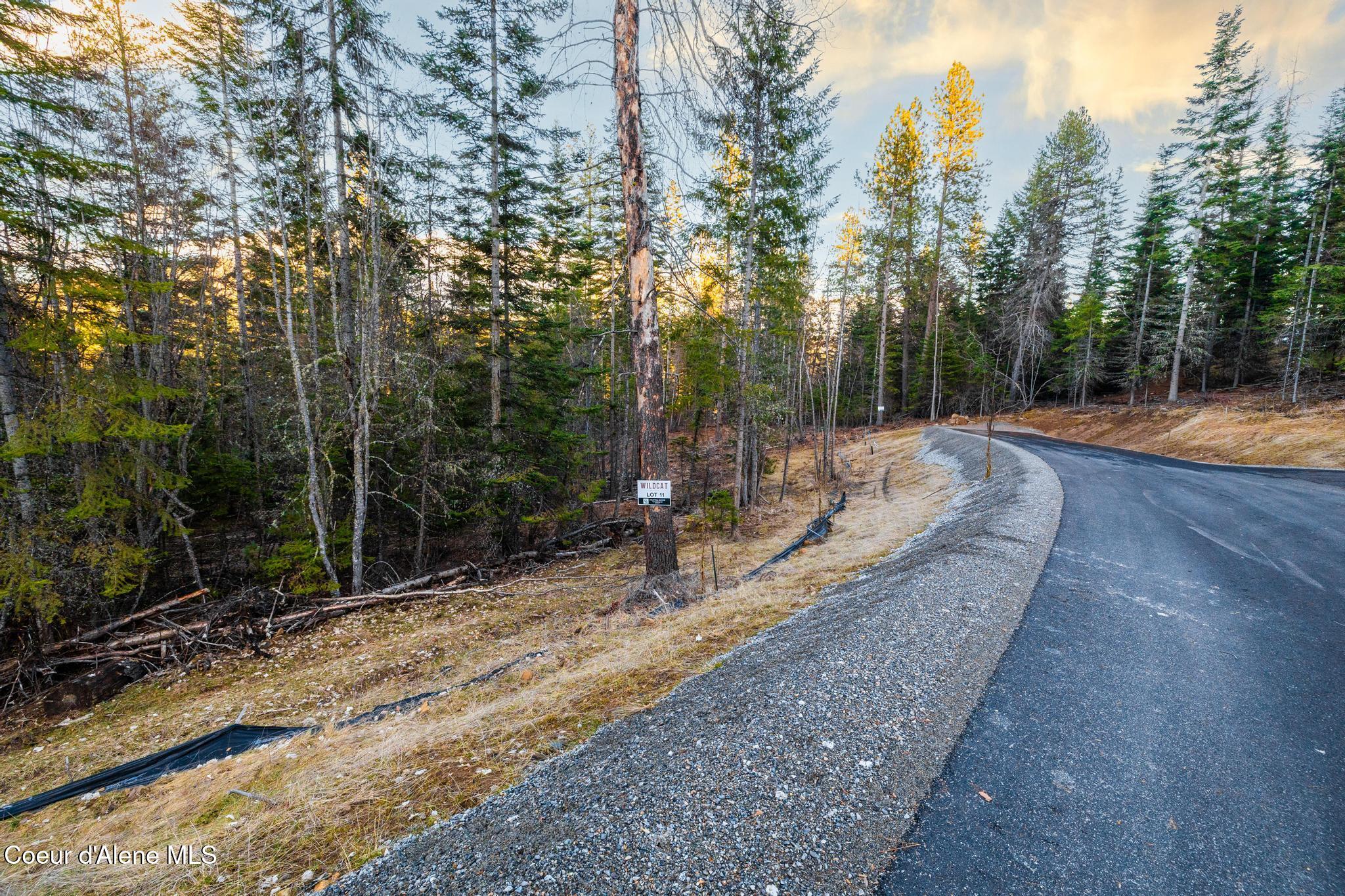 L2 B1 N Wildcat S, Wildcat Creek, Hayden, Alaska image 12