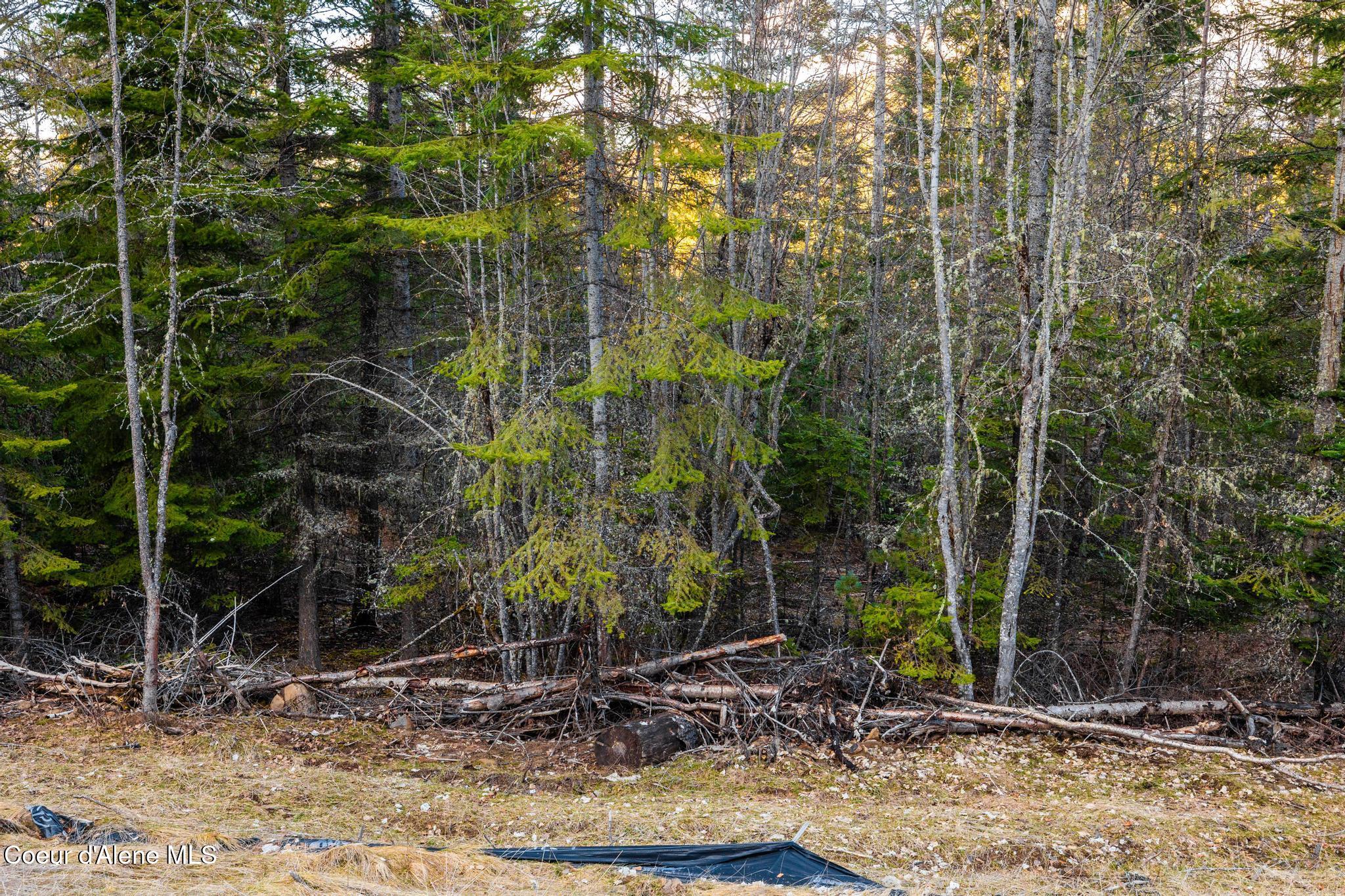 L2 B1 N Wildcat S, Wildcat Creek, Hayden, Alaska image 15