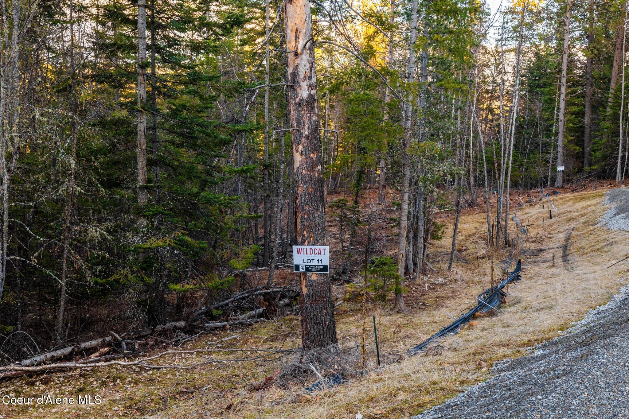 L2 B1 N Wildcat S, Wildcat Creek, Hayden, Alaska image 13