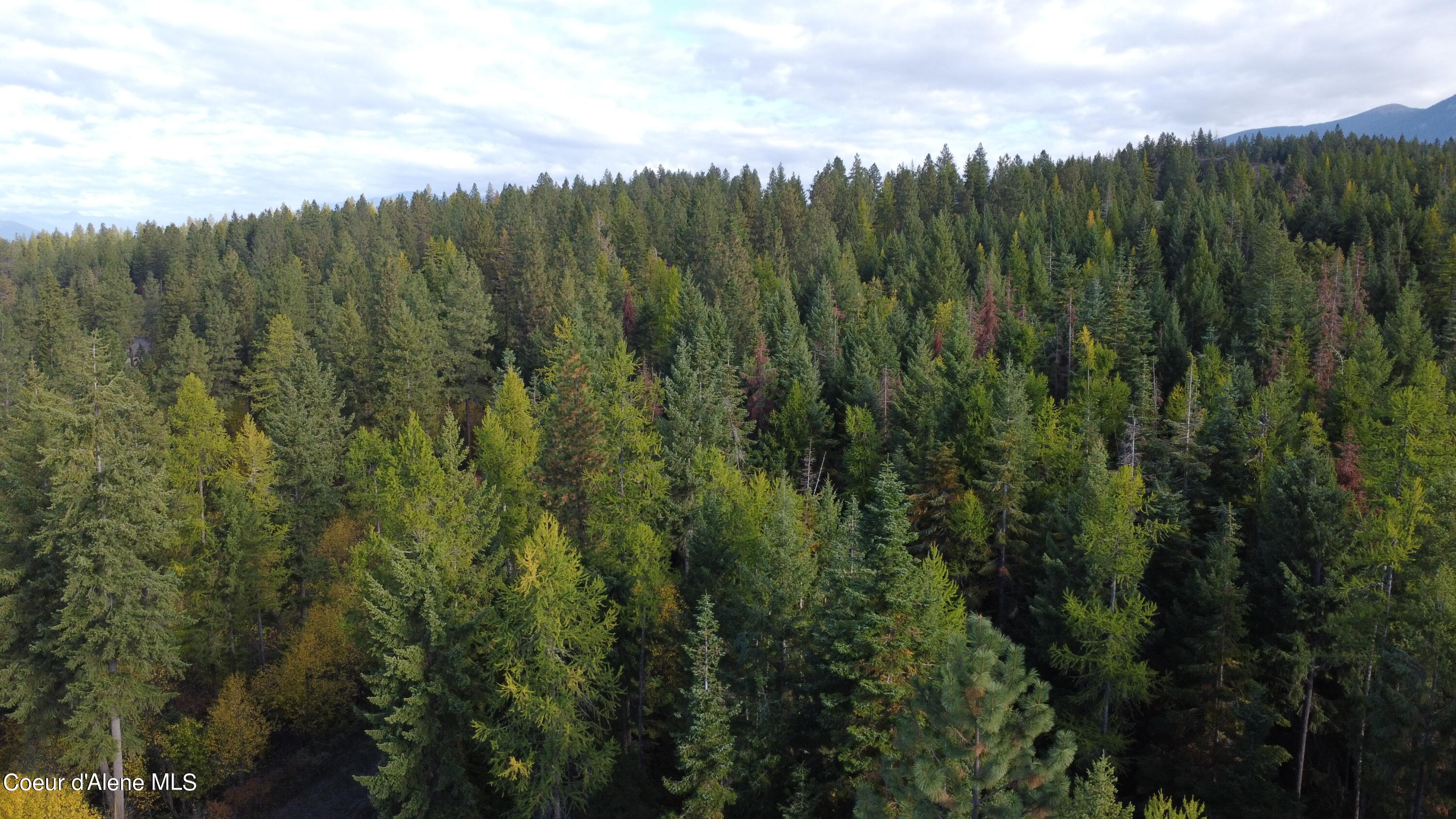 NNA Smugglers Lane Tract A, Bonners Ferry, Idaho image 3