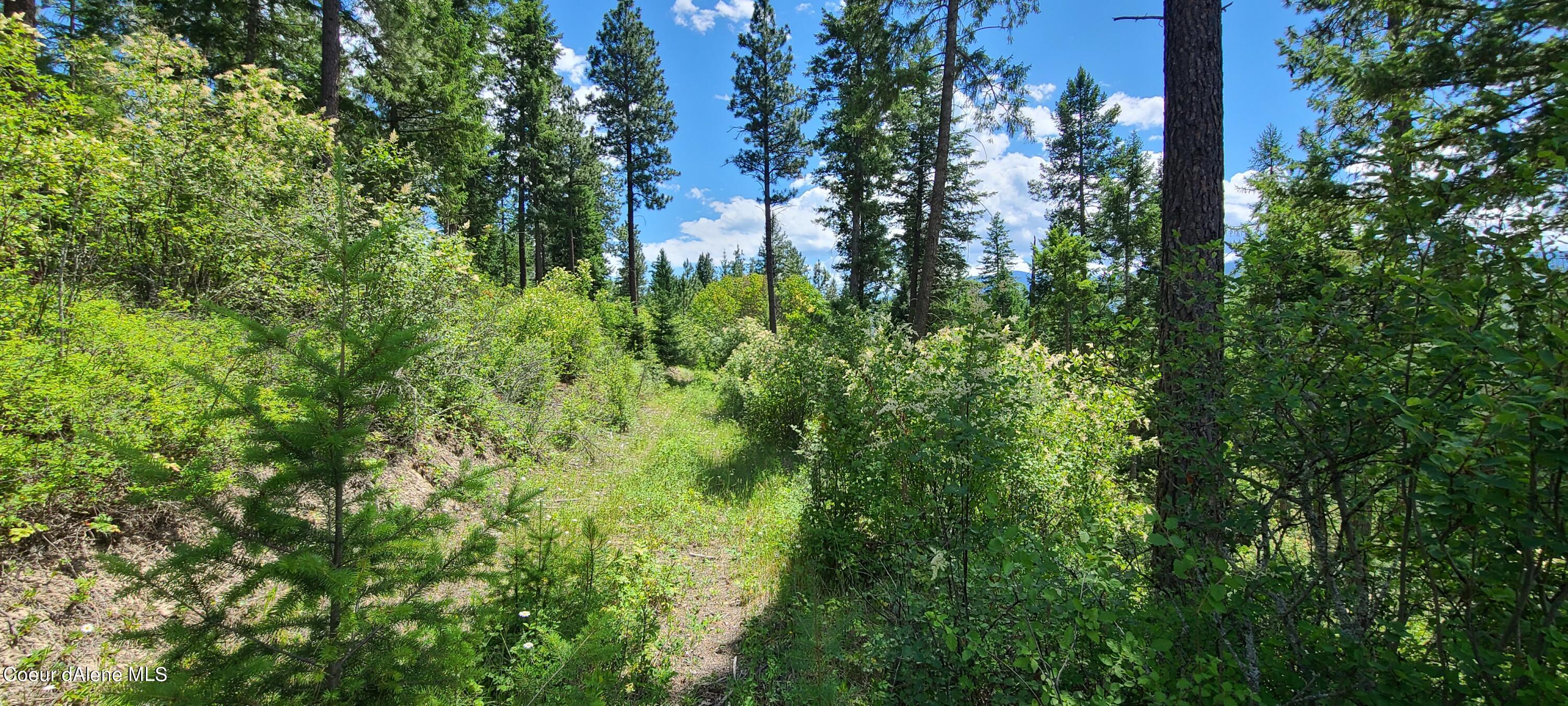 NNA Smugglers Lane Tract A, Bonners Ferry, Idaho image 9