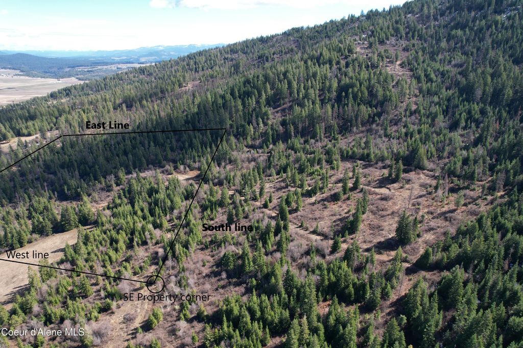 Photo of Tract 5 Thimbleberry, Plummer, ID 83851 (MLS # 26-3148)