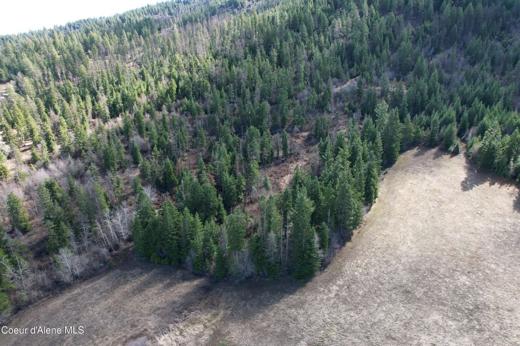 Photo of Tract 5 Thimbleberry, Plummer, ID 83851 (MLS # 26-3148)