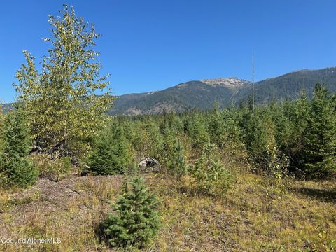 Vacant Land For Sale - TRACT 4 Usfs 2294<br/> Clark Fork, ID 83811