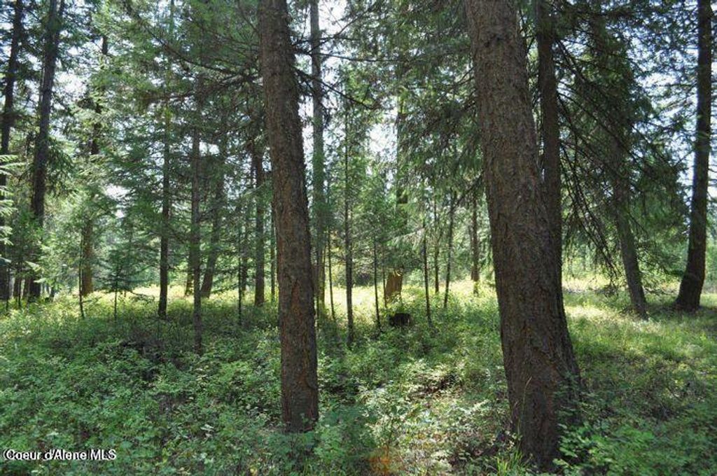 Photo of 39 Forest Ridge Ridge, Blanchard, ID 83804 (MLS # 26-3308)