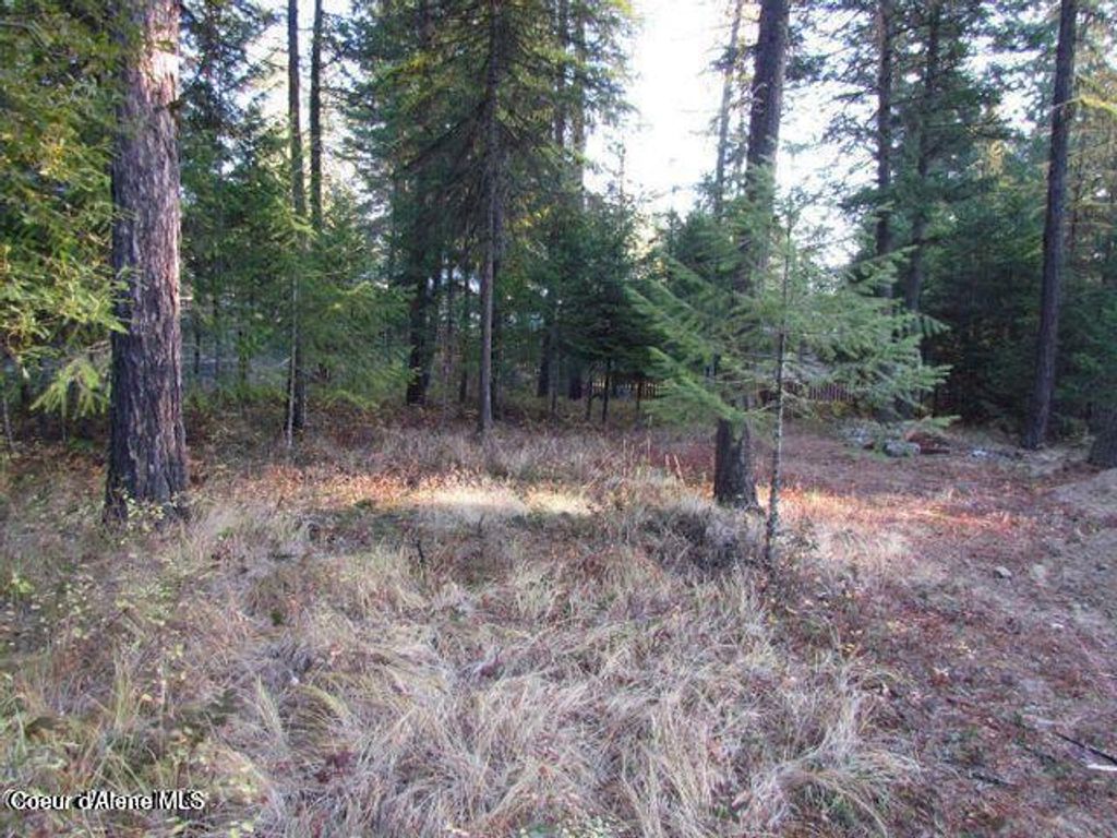 Photo of 39 Forest Ridge Ridge, Blanchard, ID 83804 (MLS # 26-3308)