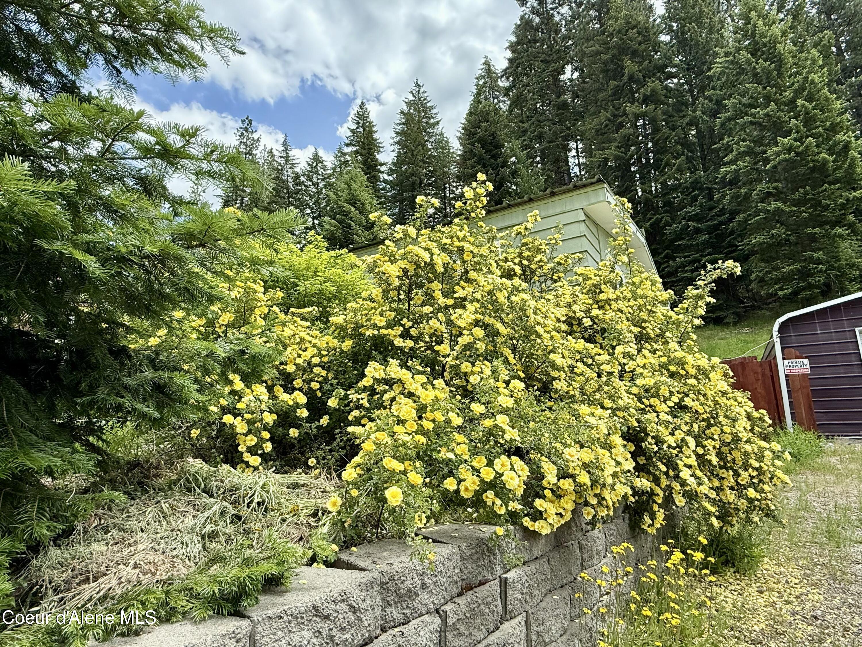 145 Mill Rd, Mullan, Idaho image 4