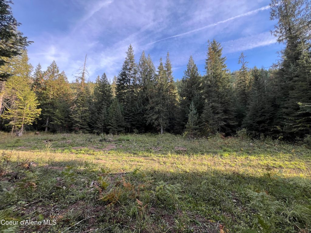 Photo of 3579 Bear Creek Creek, Kingston, ID 83839 (MLS # 25-9975)