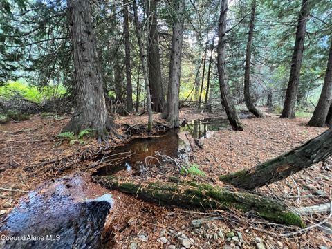Vacant Land For Sale - 3579 Bear Creek Creek<br/> Kingston, ID 83839
