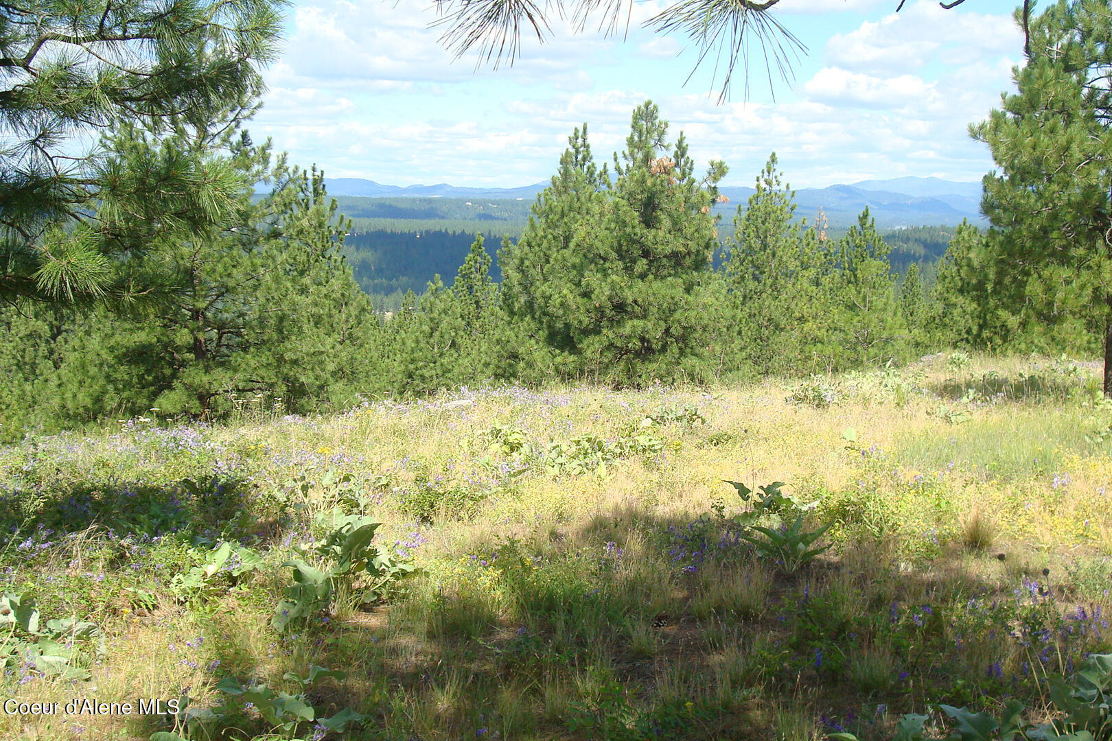 Lot 33 E Robin Ln, Chattaroy, Washington image 4