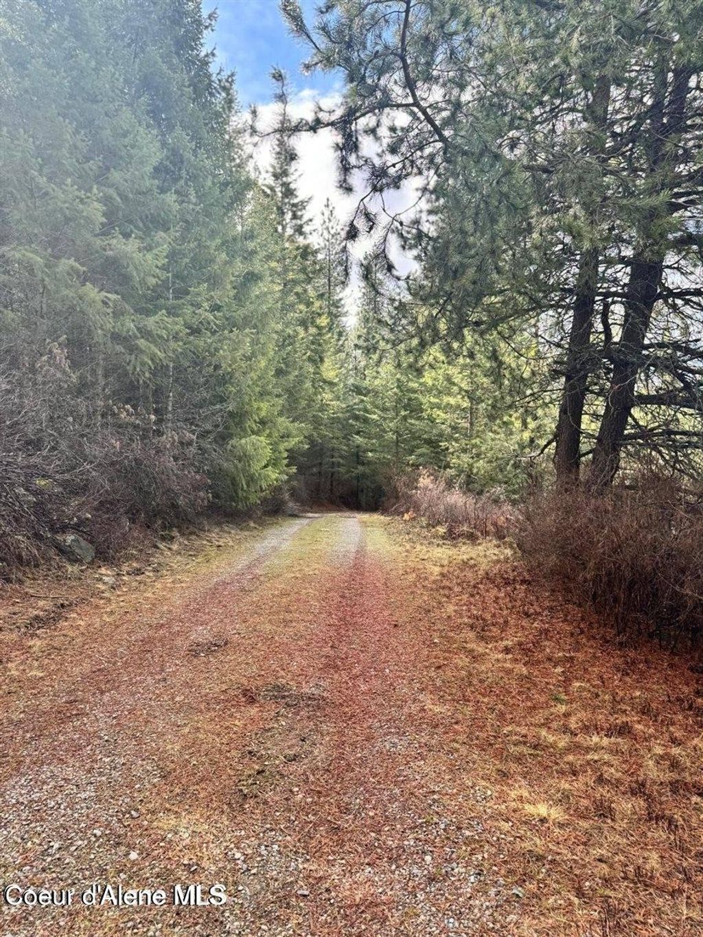 Photo of NNA Quiet, Athol, ID 83801 (MLS # 26-5601)