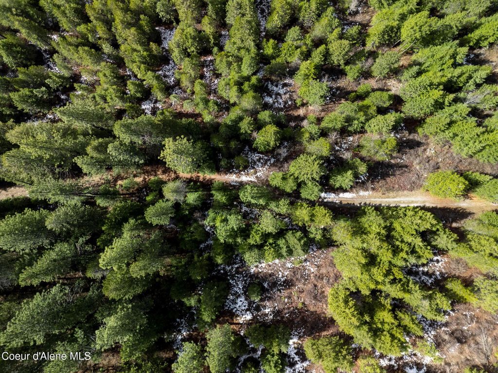 Photo of NNA Quiet, Athol, ID 83801 (MLS # 26-5601)