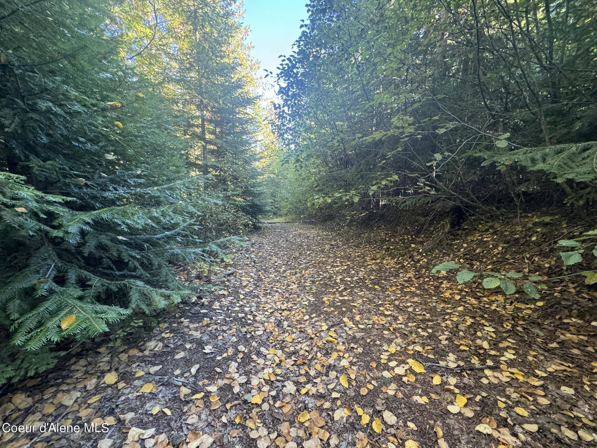 NNA Rustic Way, Lot 8, Spirit Lake, Idaho image 5