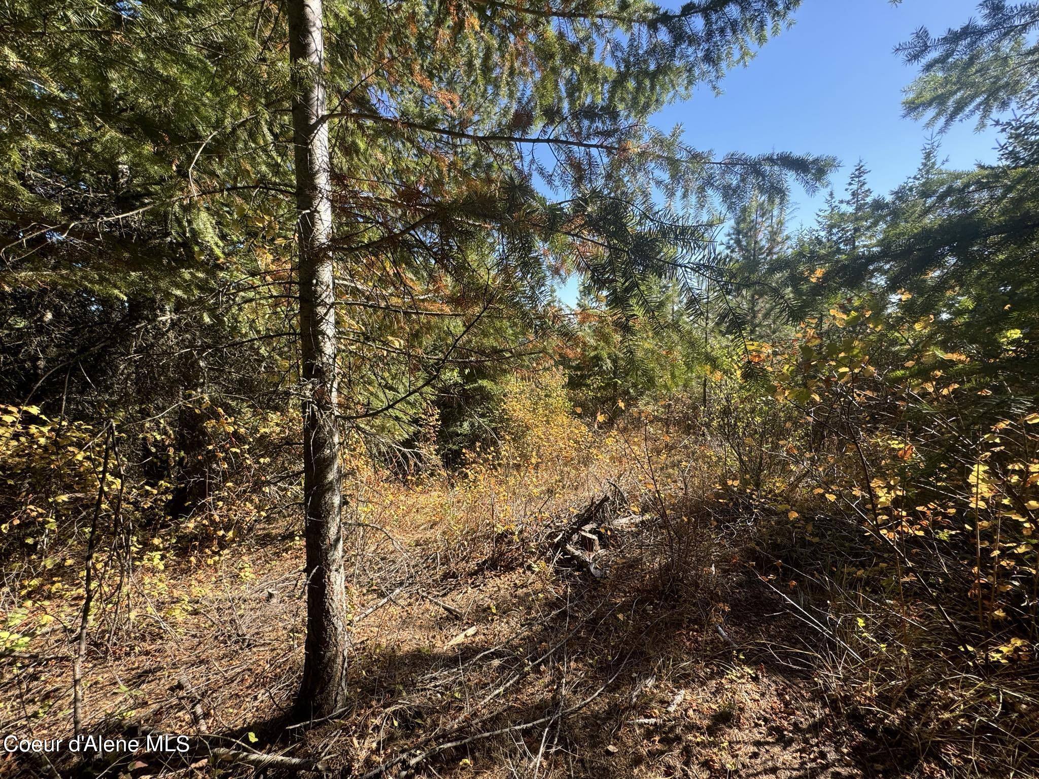 NNA Rustic Way, Lot 8, Spirit Lake, Idaho image 8